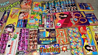 New Crackers Testing #8 | Kids Crackers Video|New Crackers For Kids |Diwali Crackers Testing Review😃