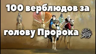 Любимец Всевышнего 38 часть. Чудесное спасение Пророка (ﷺ)