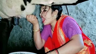 How To milk Hand Milking | drink milk | Cow milking by hand | Village life