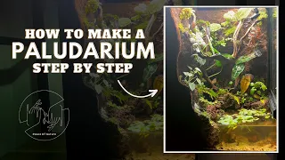 How To Build A Paludarium Step By Step (2023)