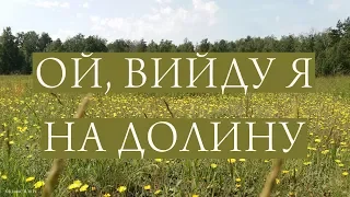 Ой, вийду я на долину. Дует Борисове Поле. Українська народна пісня під гармонь. Ukrainian folk song