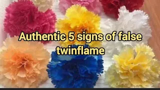 “AUTHENTIC 5 SIGNS OF FALSE TWINFLAME” #ascension #twinflame #authentic #signs