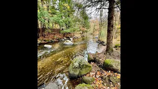 WITU Talking Trout (ep. 35) How the Ice Age Shaped Northwood's Trout Streams with Nelson Ham.