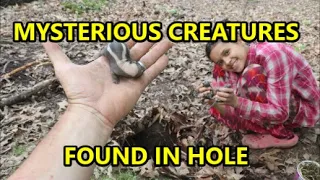 My Daughter Found WHAT Living in a Hole?!?!?!