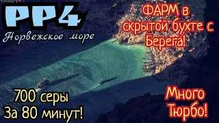 РР4. Норвежское море. Супер ФАРМ в скрытой бухте с берега! 700 серы за 80 минут! Много Тюрбо!