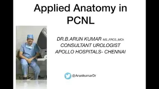 Applied Anatomy in PCNL