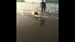 3 year old surfing first wave