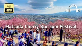 Matsuda Cherry Blossom Festival Walking Tour - Kanagawa Japan [4K/HDR/Binaural]