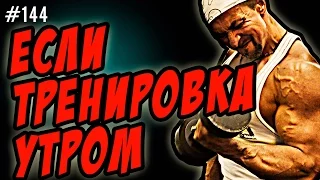 утренняя тренировка  завтрак и питание перед тренажерным залом