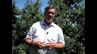 Теренс Робинсон о формировке яблони "высокое веретено"