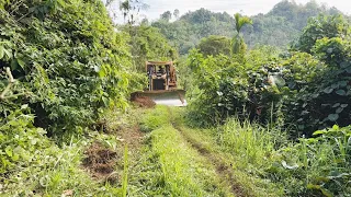 The Easiest Way To Widen A Bush Infested Path Using A CAT D6R XL Dozer