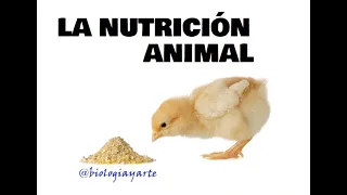 LA FUNCIÓN DE NUTRICIÓN