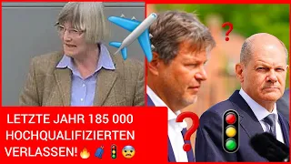 📣😨 PAINLICH! 🤔 LETZTE JAHR 185 000 HOCHQUALIFIZIERTEN VERLASSEN! Gerrit Huy - AfD Bundestag 🇩🇪✈️ 🔥🧳