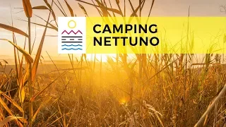 Camping Nettuno | Every Day Sicily Tour 2018