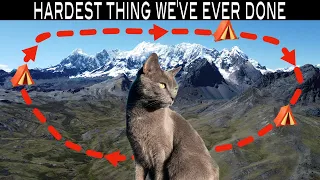 ARE WE CRAZY? High Altitude 4 Day Trek WITH CAT AND DOG in Peru #vanlife #roadtrip