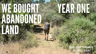 We bought abandoned land and this is what happened - Year One - Our Portuguese Homestead