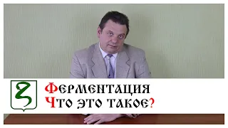 ФЕРМЕНТАЦИЯ/ ЧТО ЭТО ТАКОЕ? ОТЛИЧИЕ ОТ БРОЖЕНИЯ