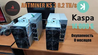 Обзор и Доходность Antminer KS3 8 2 ths на 22.01.2024 #AntminerKS3