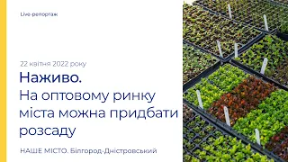 Білгород-Дністровський: розсаду можливо придбати на оптовому ринку