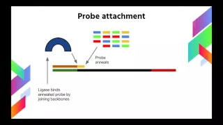 Next Gen SOLiD DNA Sequencing Method Explained