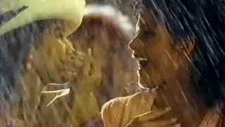 Budweiser Fountain of Youth TV Ad 1990