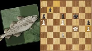 Unbelievable, But This Is Winning For White! || Stockfish vs Komodo