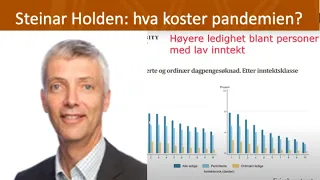 Steinar Holden: Hva koster pandemien?