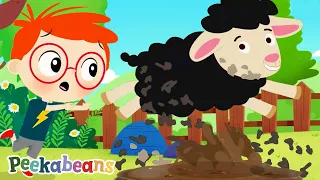 Baa Baa Black Sheep Song (Baby Sheep Version) | Peekabeans #kidssongs & #nurseryrhymes