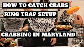 Crabbing In Maryland - How To Setup A Ring Trap