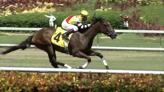 Gulfstream Park Replay Show | August 19, 2016