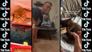 Funny Kittens of TikTok ~ Cutest Kittens Compilation! 😍❤ 😍😍😂 Funny Pets😂😂😂