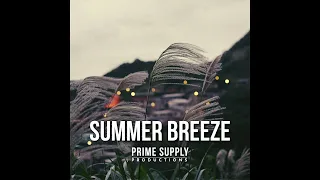 [FREE] Chill Oldschool Hiphop Beat - "Summer Breeze" l Free Type Beat 2022|Rap Boombap Instrumental