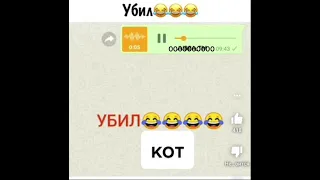 Анекдот про кота. Убил просто смешнее я не слышал😂