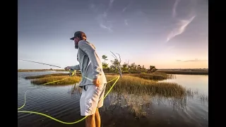 Florida Redfish - The Shallow Season