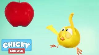 Where's Chicky? Funny Chicky 2020 | RED APPLE | Chicky Cartoon in English for Kids