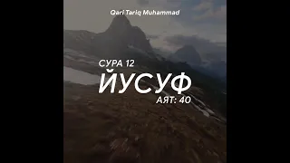 Сура 12 «Йусуф» - Аят: [40] - Мухаммад Тaрик