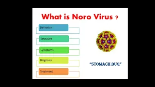 What is Norovirus ? Symptoms, Diagnosis, and self care