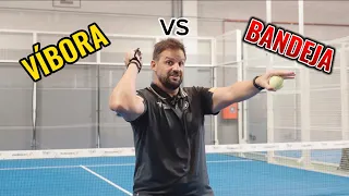 BANDEJA VS VÍBORA