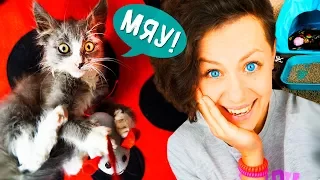 КОМНАТА ДЛЯ СПАСЕННОГО КОТЕНКА! КОТЕНОК ИГРАЕТ В ИГРОВОЙ MAGIC FAMILY