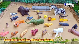 Fun Learning Carnivore, Herbivore & Omnivore Animals for Kids! 🐻🦓🐄 | Kidiez World TV