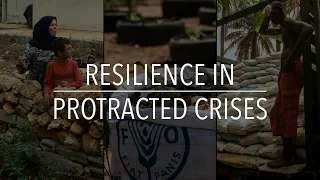 FAO Policy Series: Resilience in Protracted Crises