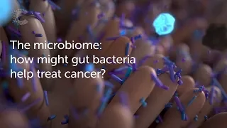 The microbiome: how might gut bacteria help treat cancer? | Cancer Research UK