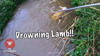 A BRUTAL DAY OF LAMBING IN THE RAIN |  Day 5 of Lambing 2022