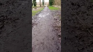 Flooding has receded, The Great River Ouse Bedford