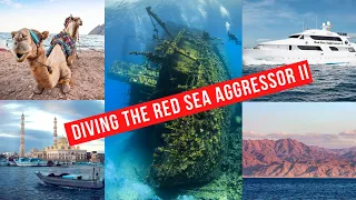 Diving the Red Sea Aggressor II