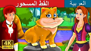 القط المسحور | The Magical Kitty Story in Arabic | @ArabianFairyTales