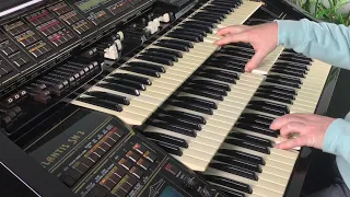 Samba Hits - Organ Drawbars Medley / Florian Hutter - Wersi Atlantis