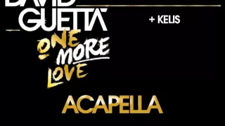 Kelis - Acapella (produced by David Guetta)