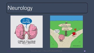 Doctor Professor Patrick- Pediatrics Review Part 3: Neurology, Dermatology, ENT and Development