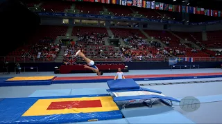 PEREZ Daniel (ESP) - 2017 Trampoline Worlds, Sofia (BUL) - Qualification Double Mini Routine 2